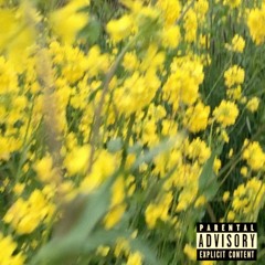 Opening: Little Girl