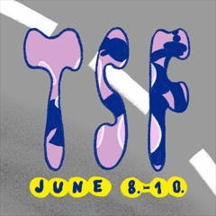 Torstraßen Festival 2018