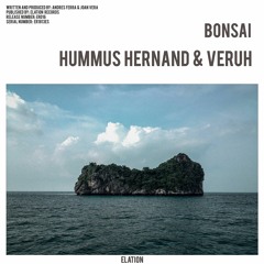Hummus Hernand & Veruh - Bonsai