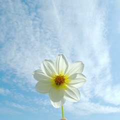 Yêu Đương (Linh Mai cover)