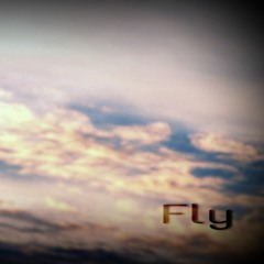 Fly - Ludovico Einaudi (Piano cover)