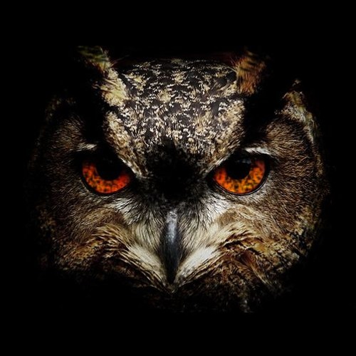 == MC THIERRY - MEDLEY DAS MELHORES 2018 BAILE DA CORUJA [ [  DJS DA CORUJA ] ]