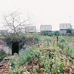 scrublands at the edge of town (track I found on a hard drive)