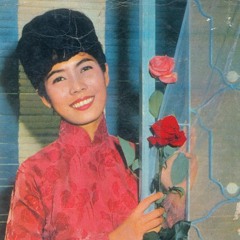 No.22 Sơn Ca (Băng nhạc) Vietnamese 70s