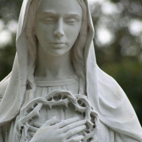 Hail-Mary Quality ft TheKomposer