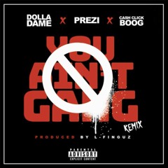 Dolla Dame - You Aint Gang Remix ft Prezi, Cash Click Boog (Exclusive Audio)