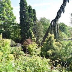 For A While - Fenne Lily