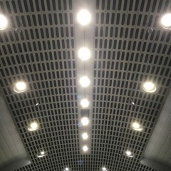 ⭐️ Black Hole Suicide (the Universe Dies First)