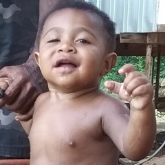 Ambusi (Jnr Woodsman Of Kagua) - Ambosii X Rexii Boy X Bata Phills X Norzy M