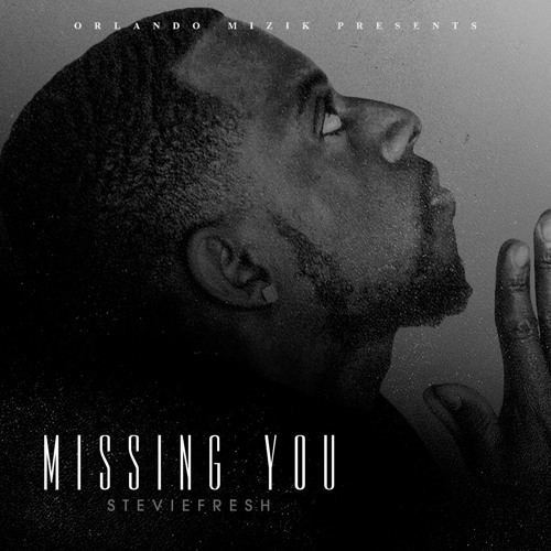 Missing You (Diana Ross) Remix