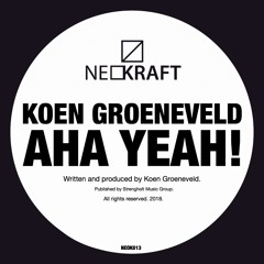 Koen Groeneveld - Aha Yeah!