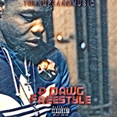 P Dawg - FreeStyle (Prod By Sound Master )