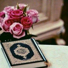 ضرب الله مثلا للذين كفروا امرأة نوح وامرأة لوط - محمود الشحات نهاوند