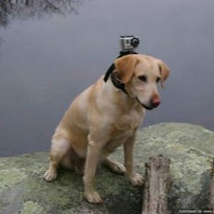 Don't Call Me, I'm Calling You