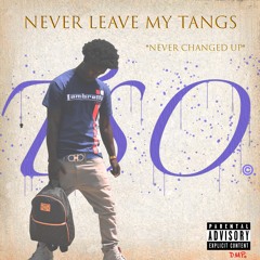 Never Leave My Tangs (Never Changed)