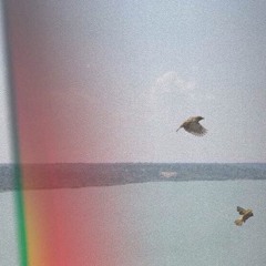 Altitude Feat. NATE (prod. Elgiiin)