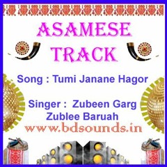 Tumi Janane Hagor Gobhir Kiman Karaoke Customized Assamese Song By Zubeen Garg,Zublee Baruah