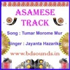 Tumar Morome Mur Karaoke Jayanta Hazarika Mp3