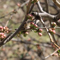 Theory -Blaine Martin (mixed April 3rd)