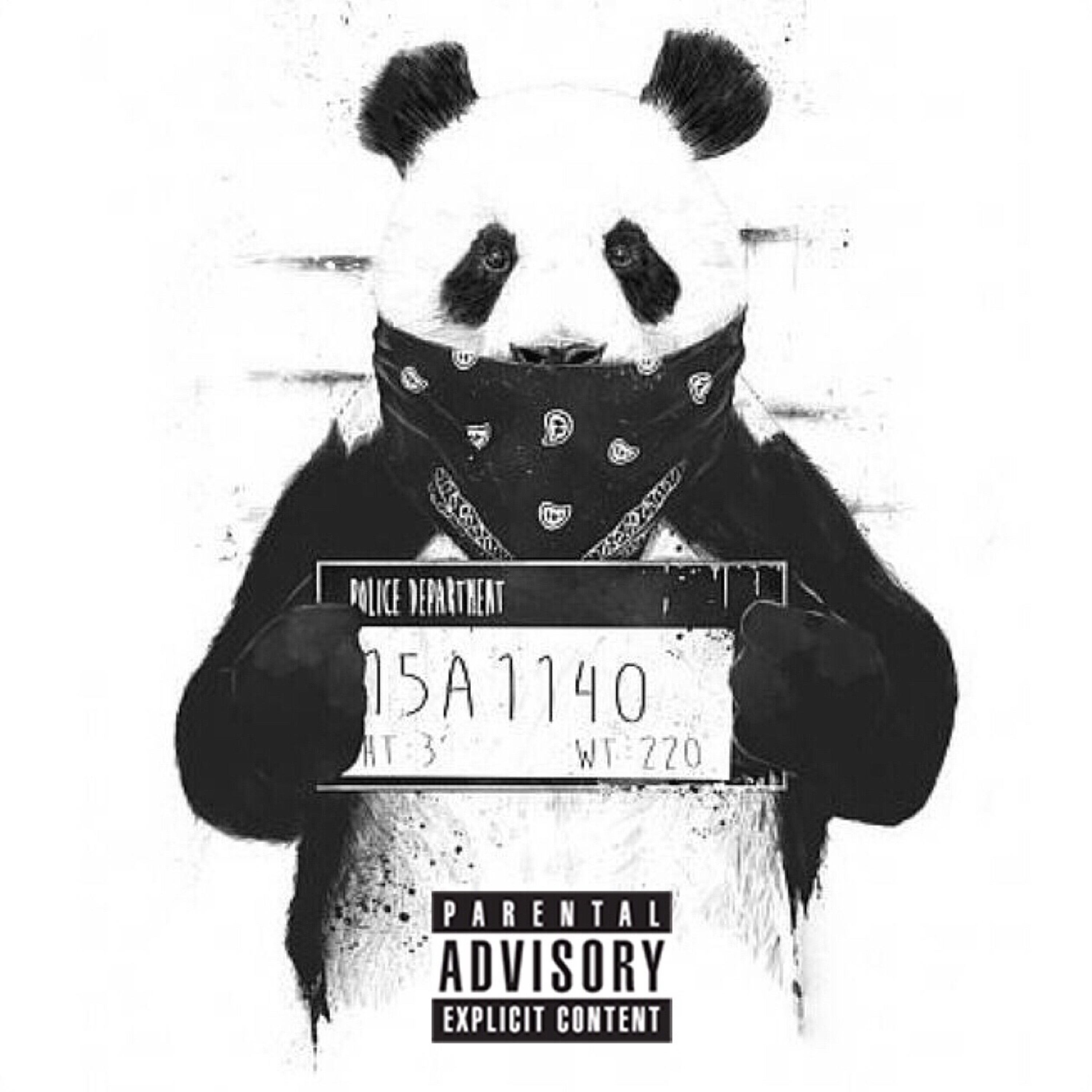 Kung Fu Panda episode artwork