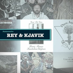 Plattenkoffer: Rey&Kjavik