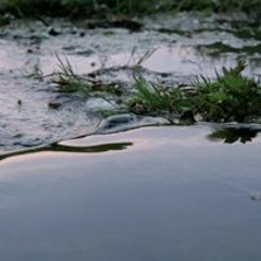 LIVE DOUBLE EGG vs CARMELO MALE