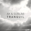 Скачать видео: AK & Sublab - Tranquil