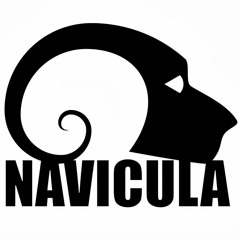 Terus Berjuang - Navicula