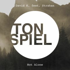 David K. - Not Alone (einsauszwei Remix)