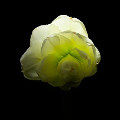Spring 2018