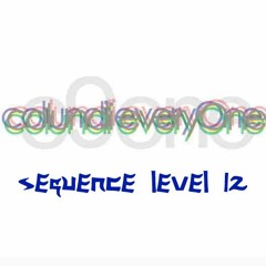 sequence level 12