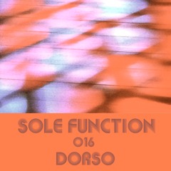 Sole Function 016