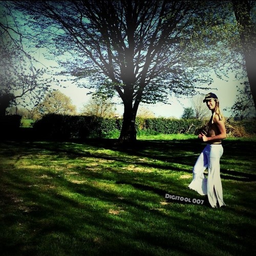 Digitool 007