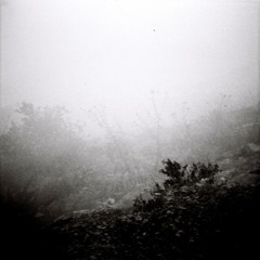 ZIAD MOUKARZEL - NEBLINA
