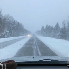 SpotLight - Sandy - Ace - Daws