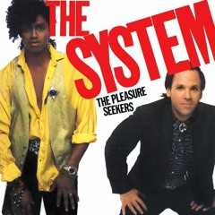 The System - This Is for You (Long Vocal Version)