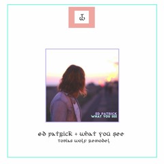 Ed Patrick - WHAT YOU SEE (Tobias Wolf Remodel)