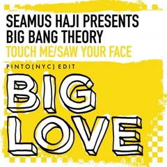 Seamus Haji, Big Bang Theory - Saw Your Face (Pinto (NYC) Edit)