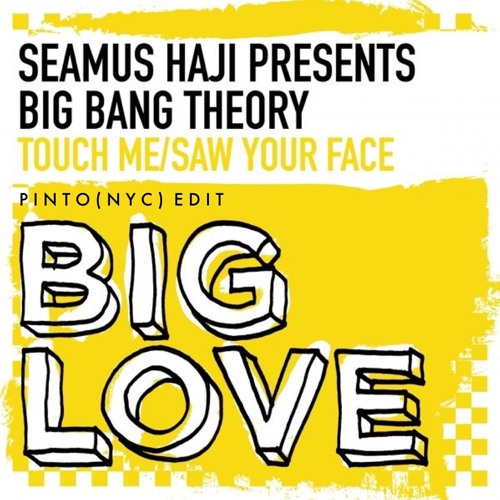 Seamus Haji, Big Bang Theory - Saw Your Face (Pinto (NYC) Edit)