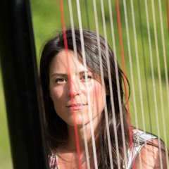 Ariettes Oubliées II