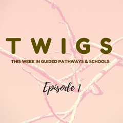 This Week in Guided Pathways & Schools (TWIGS) - Episode 1 - 04.10.2018