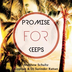 Promise For Keeps (Remix) Matthew Schultz ft Gyptian & DJ Surinder Rattan
