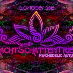 SCHLOSSGEISTER -Psychedelic Autumn (NachtSchattenTrieb Hymne)