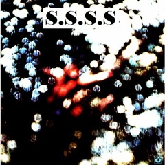 Absolutely Curtains ( Pink Floyd remix)