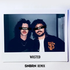 Peking Duk - Wasted (SNBRN Remix)