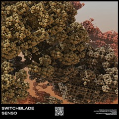 SwitchBlade - Senso