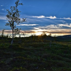 When the sun returns