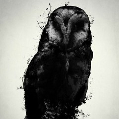 "Chains" by Nocturnal Overdrive