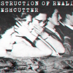 FLESHCUTTER - З А Т Я Н У Т Ы    П Е Т Л И