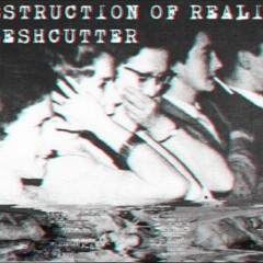 FLESHCUTTER - Я СЛЫШУ ВАШИ КРИКИ